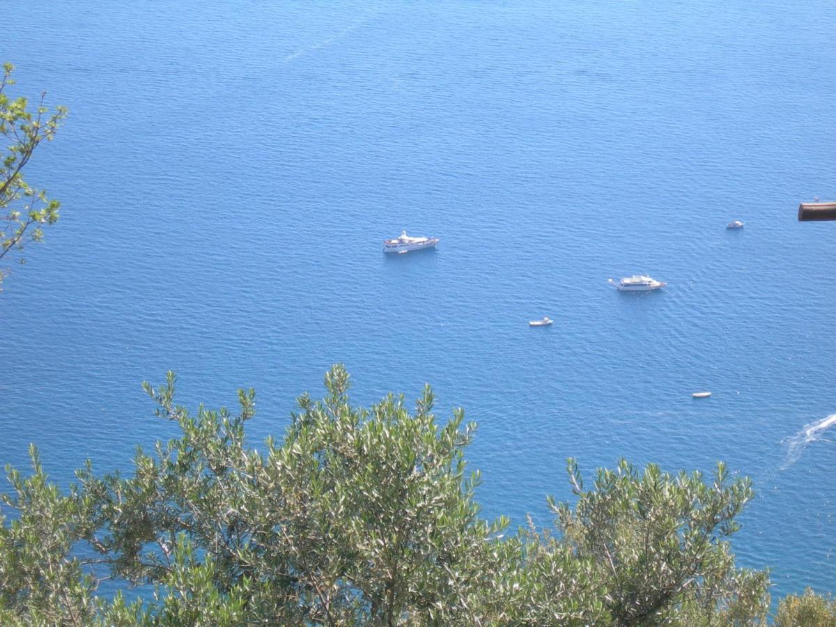 Bed and Breakfast Fattoria La Tagliata Positano Zewnętrze zdjęcie