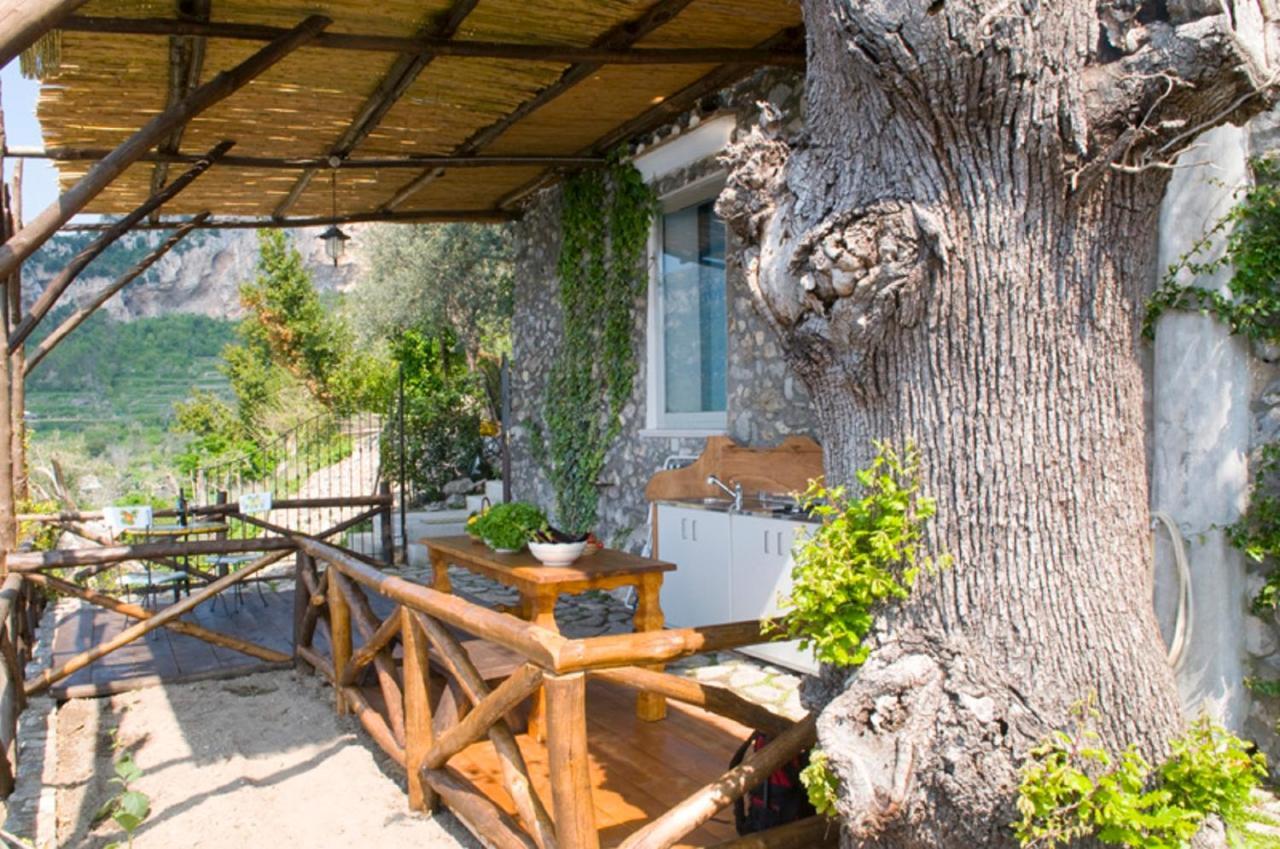Bed and Breakfast Fattoria La Tagliata Positano Zewnętrze zdjęcie